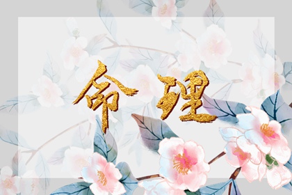 日历2026日历黄道吉日吉时,今日农历查询黄道吉日,黄道吉日2026年黄历